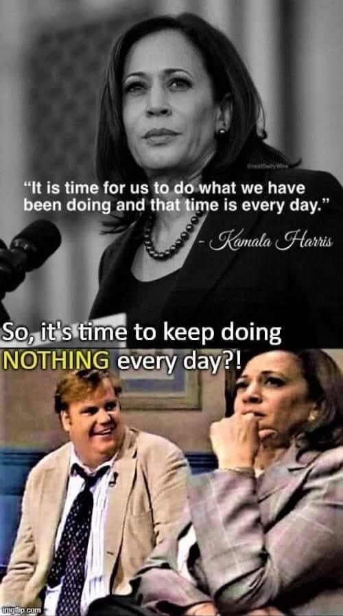 It is time for us to do what we have been doing and that time is every day. - Kamala Harris So, it's time to keep doing NOTHING every day?!