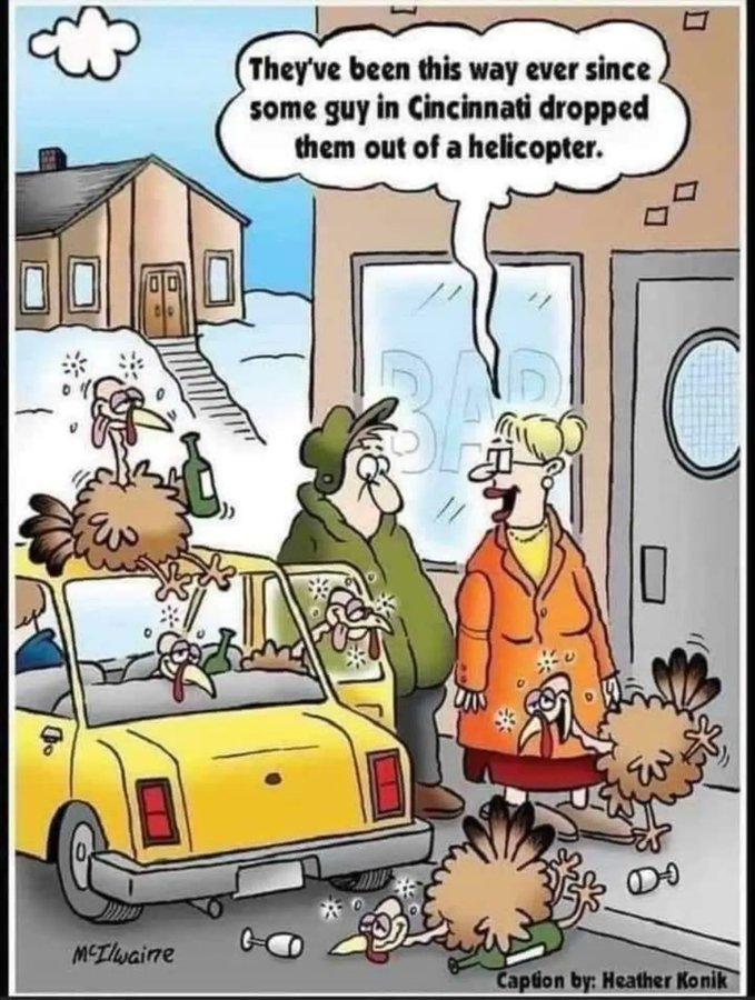LI Theyve been this way ever since some guy in Cincinnati dropped them out of a helicopter M _j
