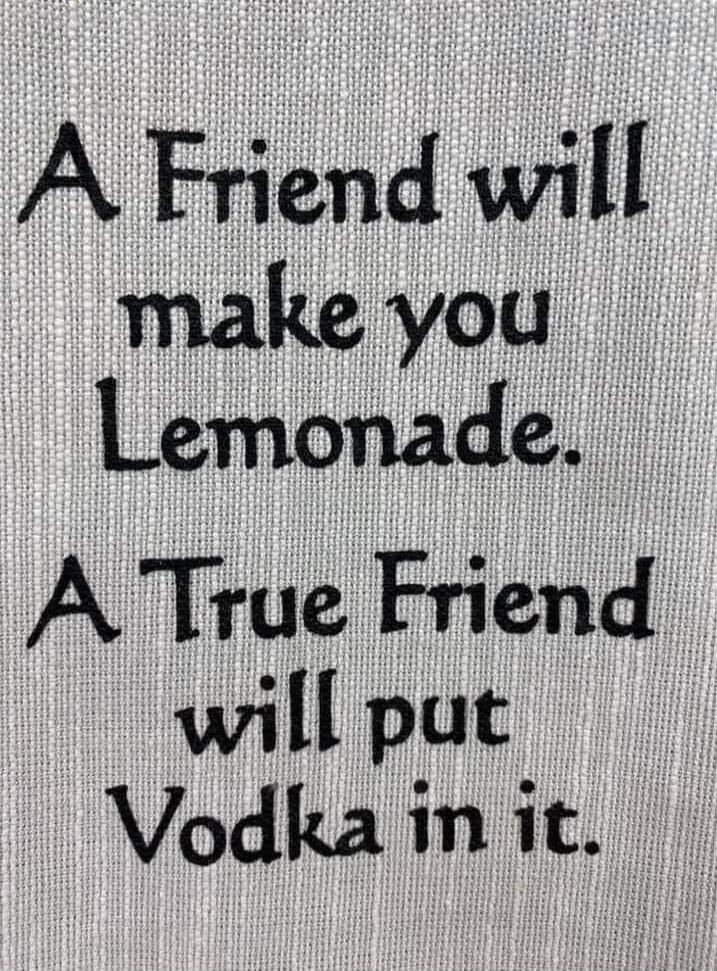 A Friend will make you Lemonade. A True Friend will put Vodka in it.