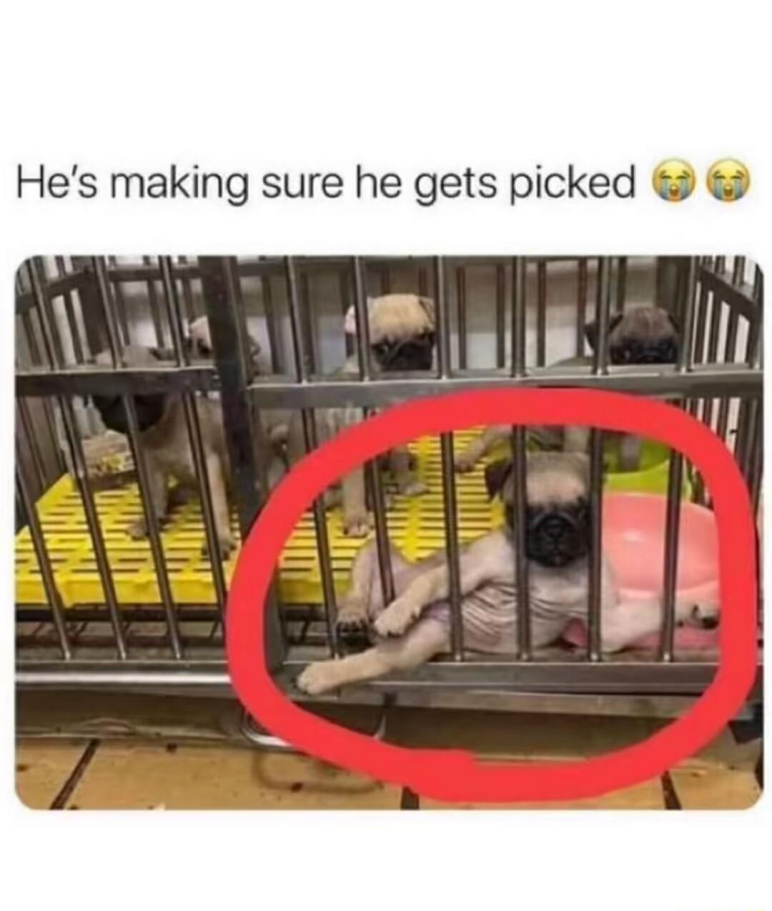 Hes making sure he gets picked