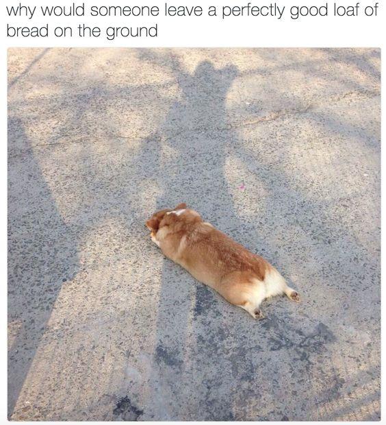 why would someone leave a perfectly good loaf of bread on the ground