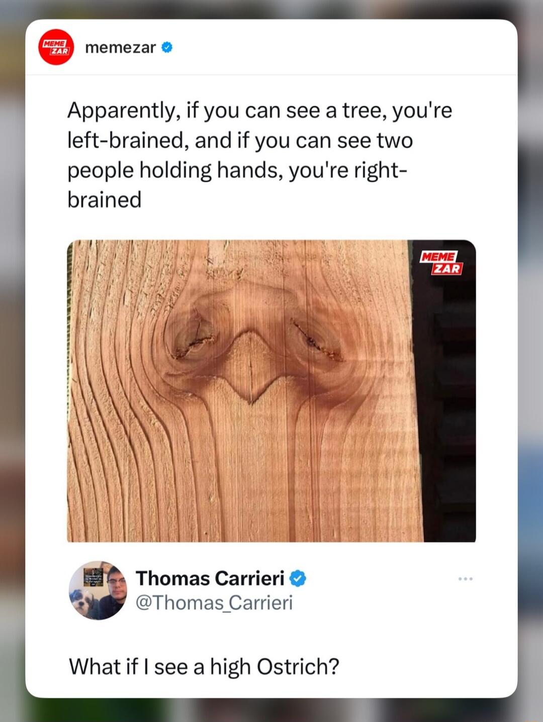 memezar Apparently if you can see a tree youre left brained and if you can see two people holding hands youre right brained Thomas Carrieri P Thomas Carrieri What if see a high Ostrich