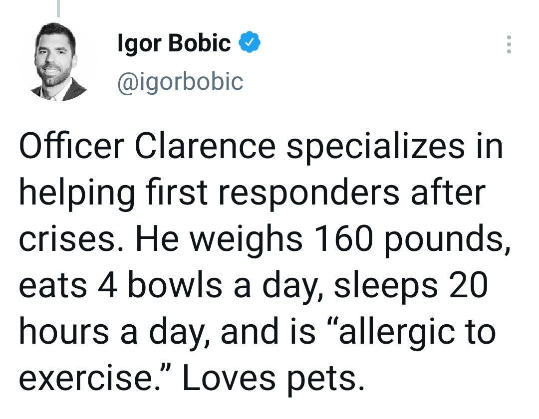 Igor Bobic igorbobic Officer Clarence specializes in helping first responders after crises He weighs 160 pounds eats 4 bowls a day sleeps 20 hours a day and is allergic to exercise Loves pets