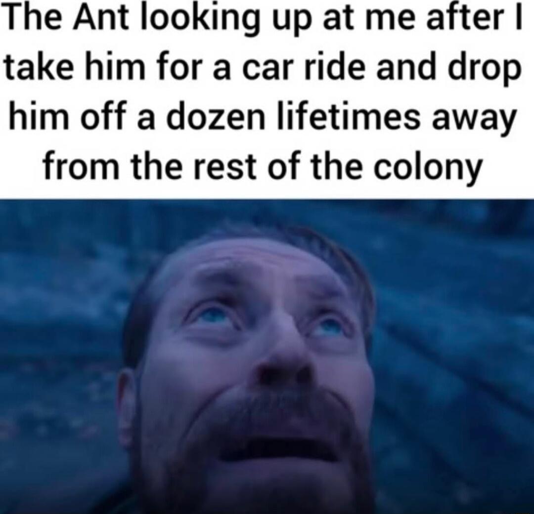 The Ant looking up at me after take him for a car ride and drop him off a dozen lifetimes away from the rest of the colony