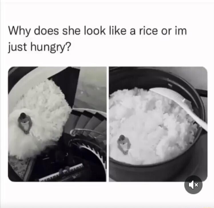 Why does she look like a rice or im just hungry 4 0