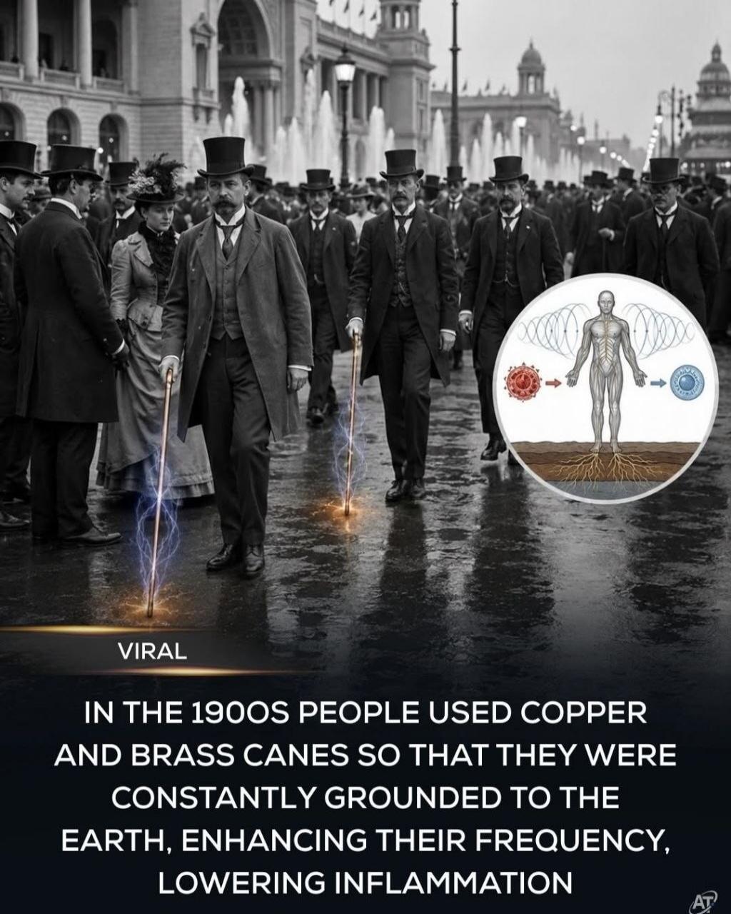 VIRAL IN THE 1900S PEOPLE USED COPPER AND BRASS CANES SO THAT THEY WERE CONSTANTLY GROUNDED TO THE EARTH, ENHANCING THEIR FREQUENCY, LOWERING INFLAMMATION