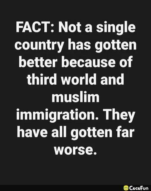 FACT: Not a single country has gotten better because of third world and muslim immigration. They have all gotten far worse.