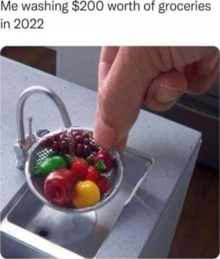 Me washing $200 worth of groceries in 2022