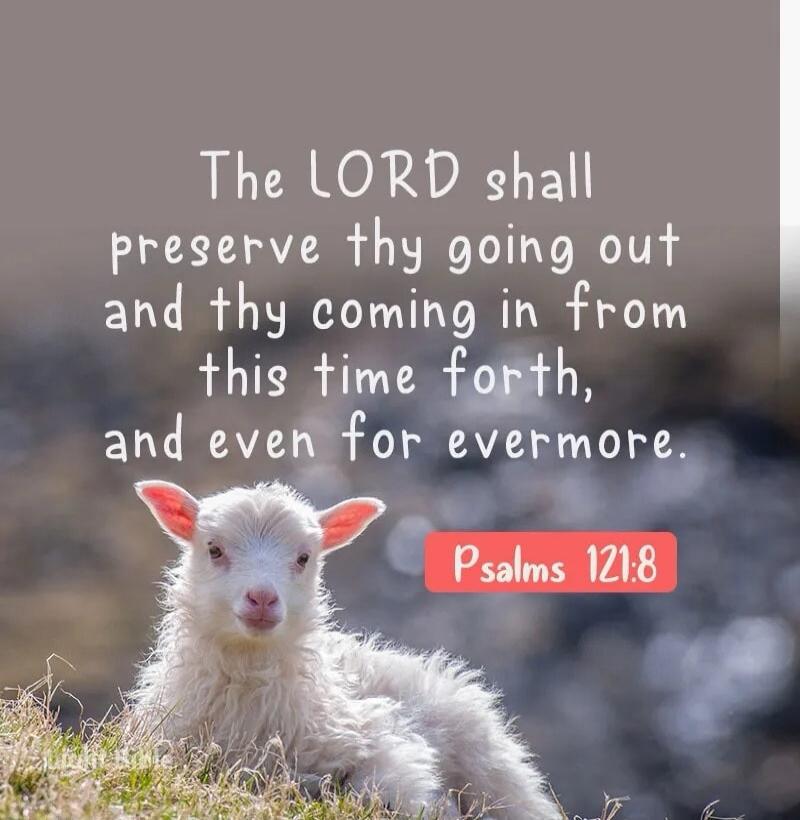 The LORD shall preserve thy going out and thy coming in from this time forth, and even for evermore. Psalms 121:8