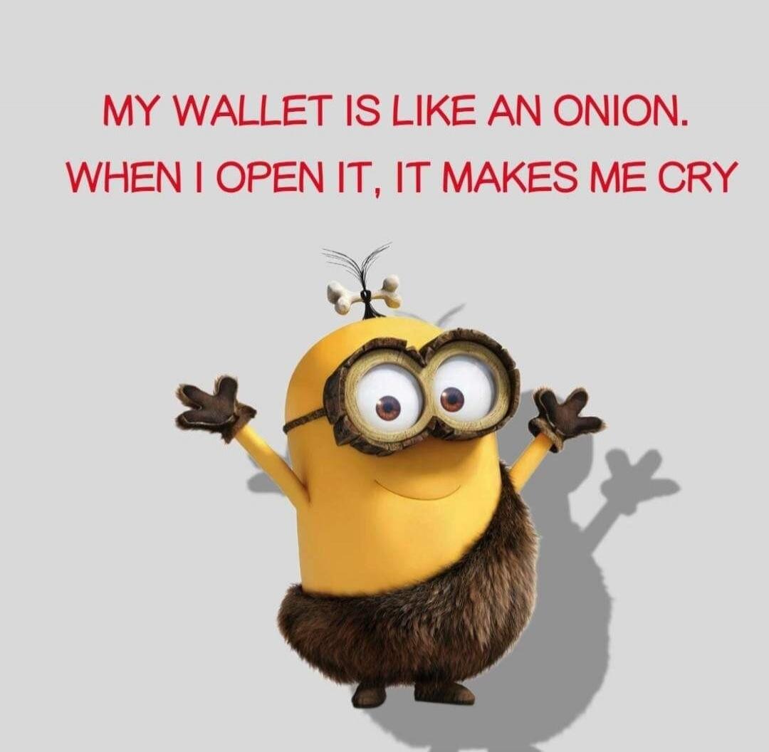 MY WALLET IS LIKE AN ONION. WHEN I OPEN IT, IT MAKES ME CRY