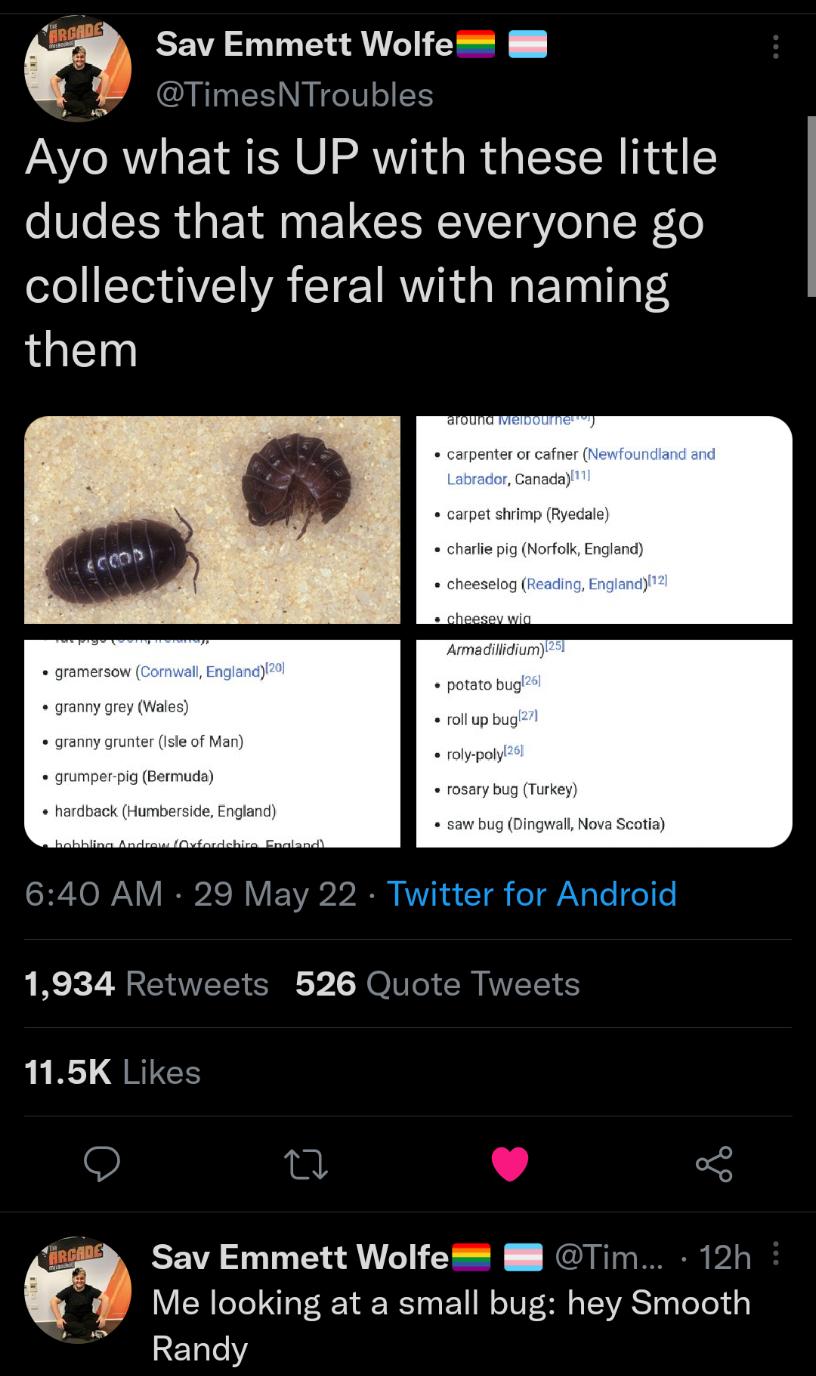 CEVA T AN f ARSI ES Ayo what is UP with these little dudes that makes everyone go ofoIIT3 A YA T 1RV da W Taal g 4 them SHETOIANY RIS IVE VAb2 022 RV 4 T el o V g Te o o 1934 Retweets 526 Quote Tweets 1 RS QRIES n o ekl Sav Emmett Wolfe 8 Tim 12h Me looking at a small bug hey Smooth XE1aleY b