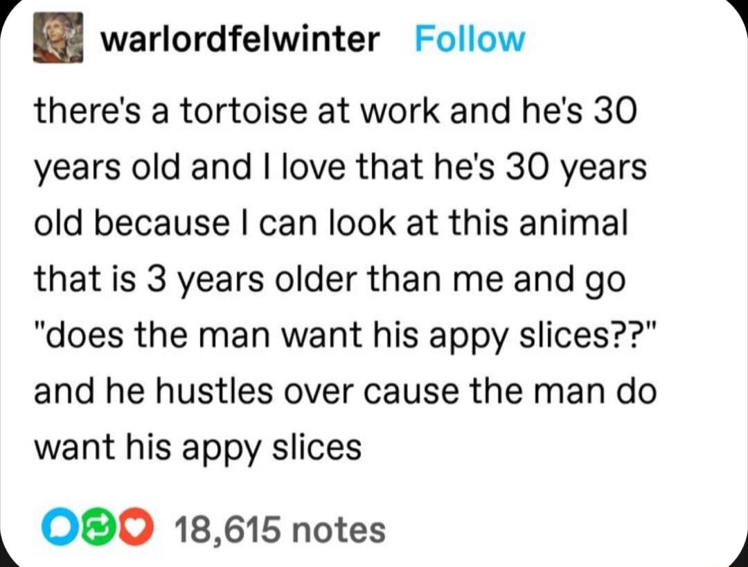 d warlordfelwinter Follow theres a tortoise at work and hes 30 years old and love that hes 30 years old because can look at this animal that is 3 years older than me and go does the man want his appy slices and he hustles over cause the man do want his appy slices 4 OB0O 18615 notes