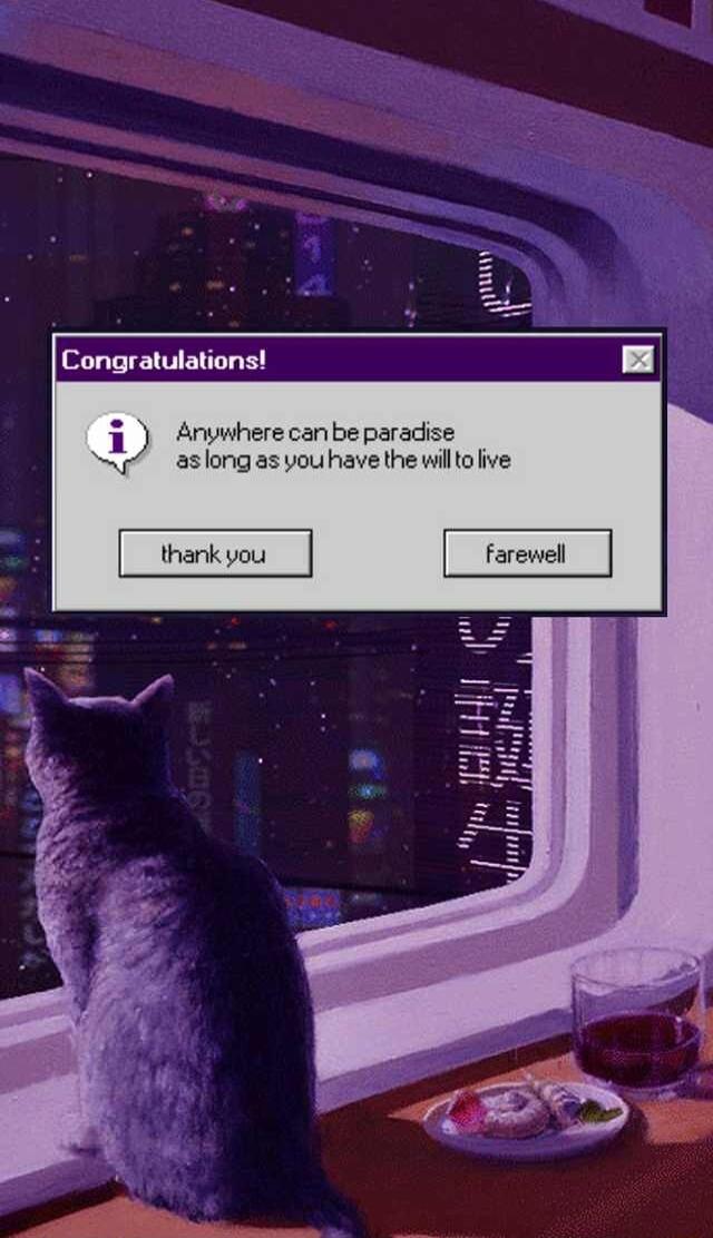 Congratulations