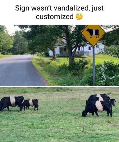 Sign wasnt vandalized just customized