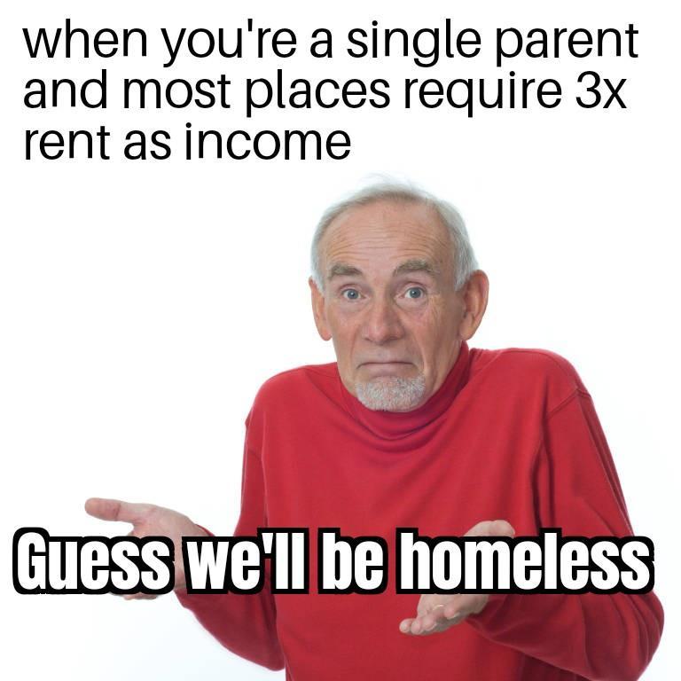 when youre a single parent and most places require 3x rent asincome