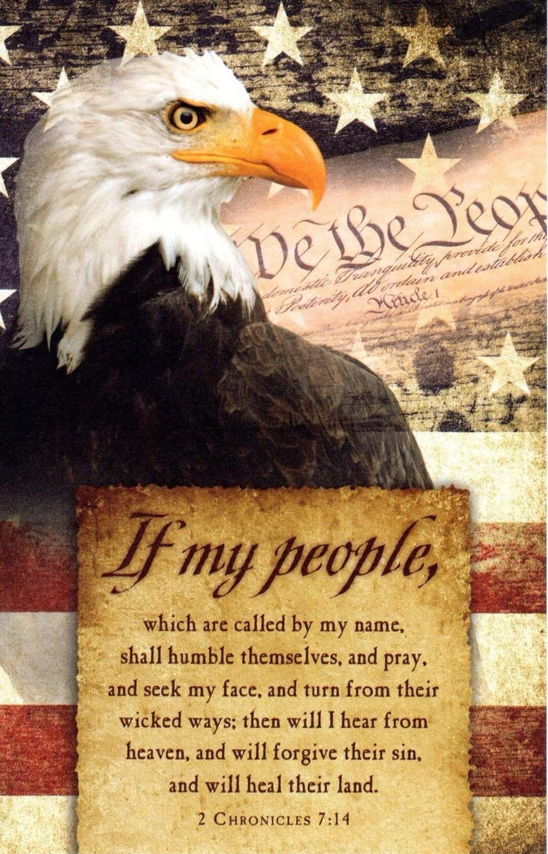 We the People domestic Tranquility, provide for the Posterity, and establish Article 1. If my people, which are called by my name, shall humble themselves, and pray, and seek my face, and turn from their wicked ways; then will I hear from heaven, and will forgive their sin, and will heal their land. 2 CHRONICLES 7:14