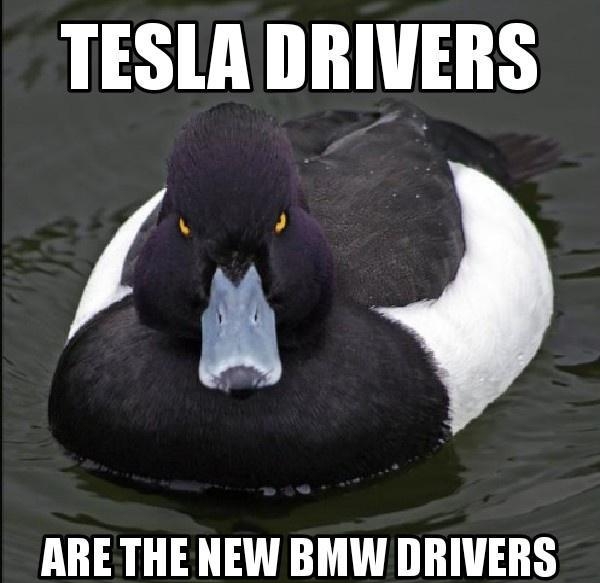 TESLA DRIVERS e