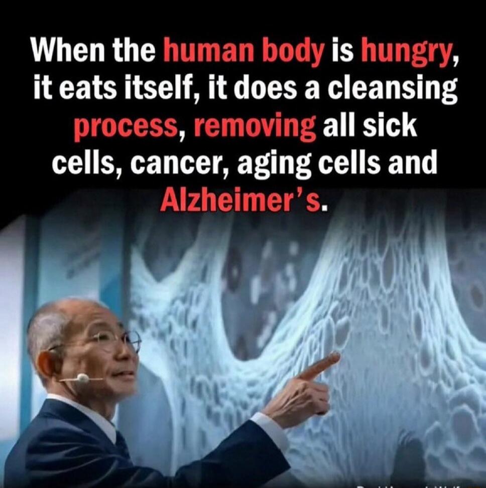When the human body is hungry, it eats itself, it does a cleansing process, removing all sick cells, cancer, aging cells and Alzheimer's.