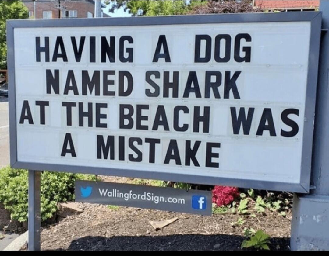 HAVING A DOG NAMED SHARK AT THE BEACH WAS A MISTAKE