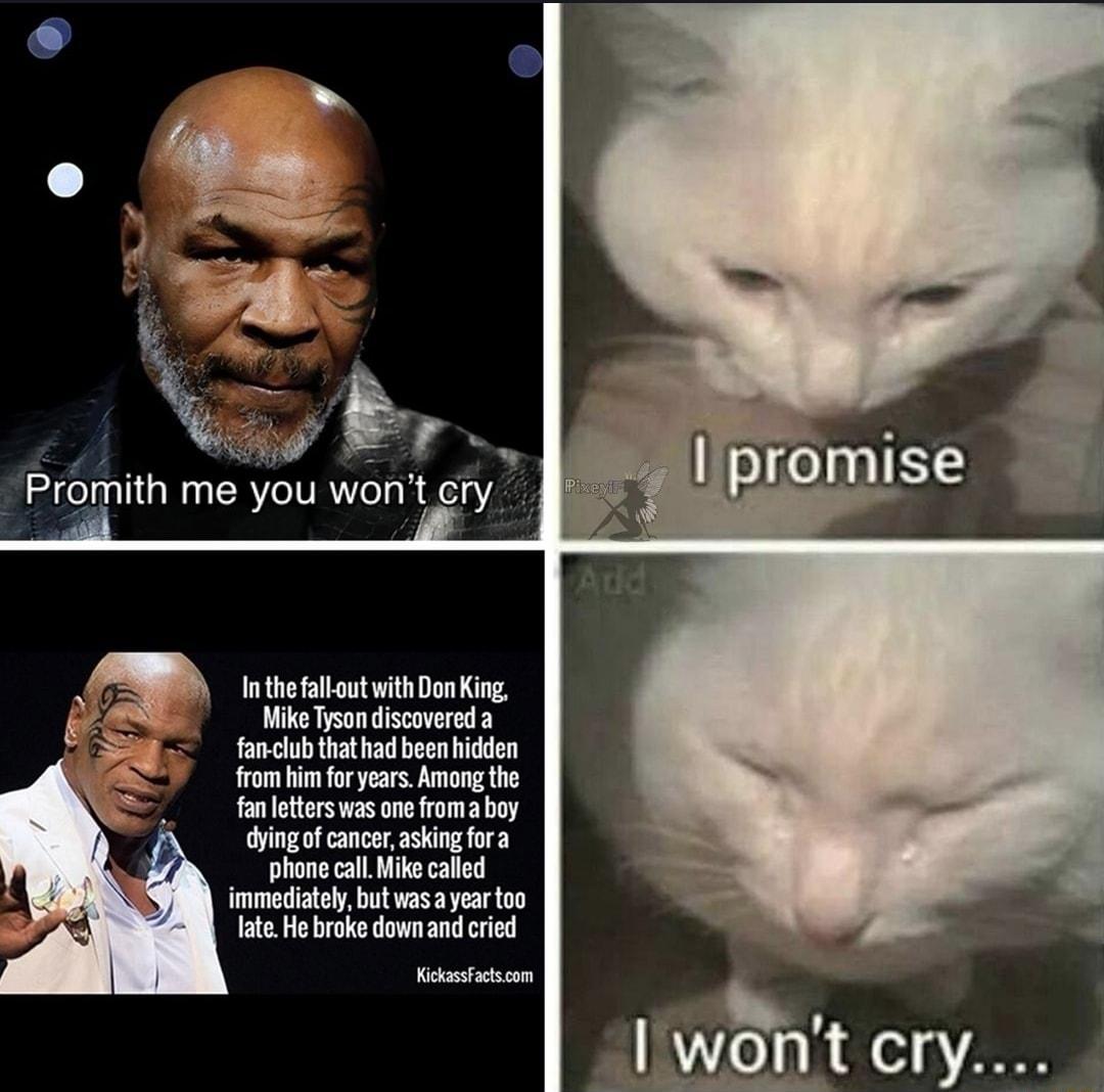 In the fall out with Don King Mike Tyson discovered a fan club that had been hidden from him for years Among the fan letters was one froma boy dying of cancer asking fora phone call Mike called immediately but was a year too late He broke down and cried KickassFactscom _Ilwht Cry