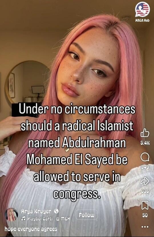 Under no circumstances should a radical Islamist named Abdulrahman Mohamed El Sayed be allowed to serve in congress. hope everyone agrees
