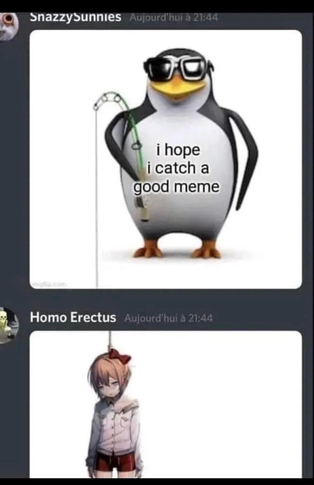 Snazzysunnies i hope i catch a good meme Homo Erectus