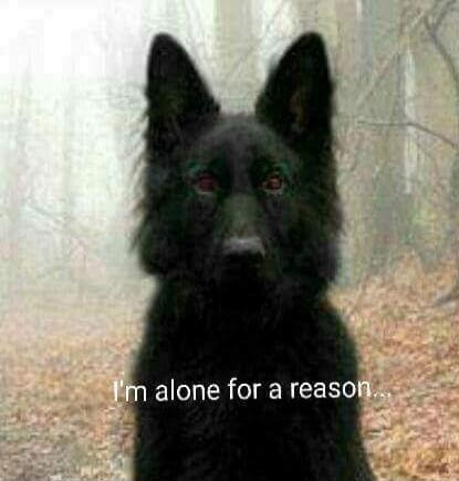 I'm alone for a reason...