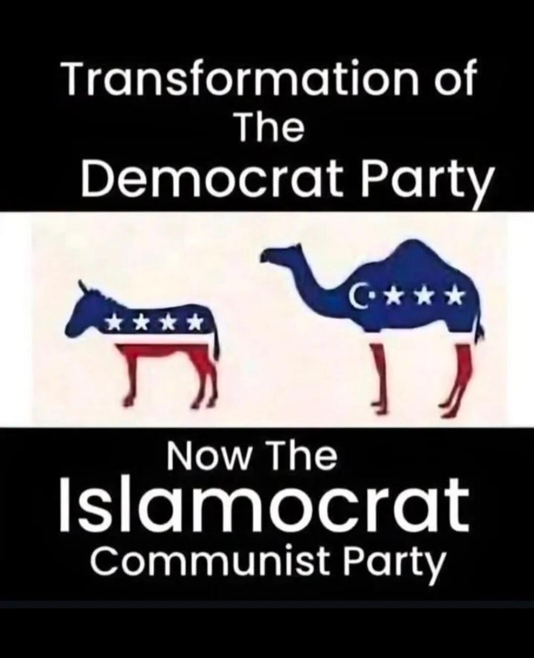 Transformation of The Democrat Party Now The Islamocrat Communist Party. Image shows a donkey with US flag colors and stars, transforming into a camel with US flag colors and a crescent moon and stars.