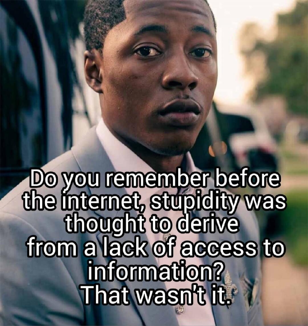 Do you remember before the internet, stupidity was thought to derive from a lack of access to information? That wasn't it.
