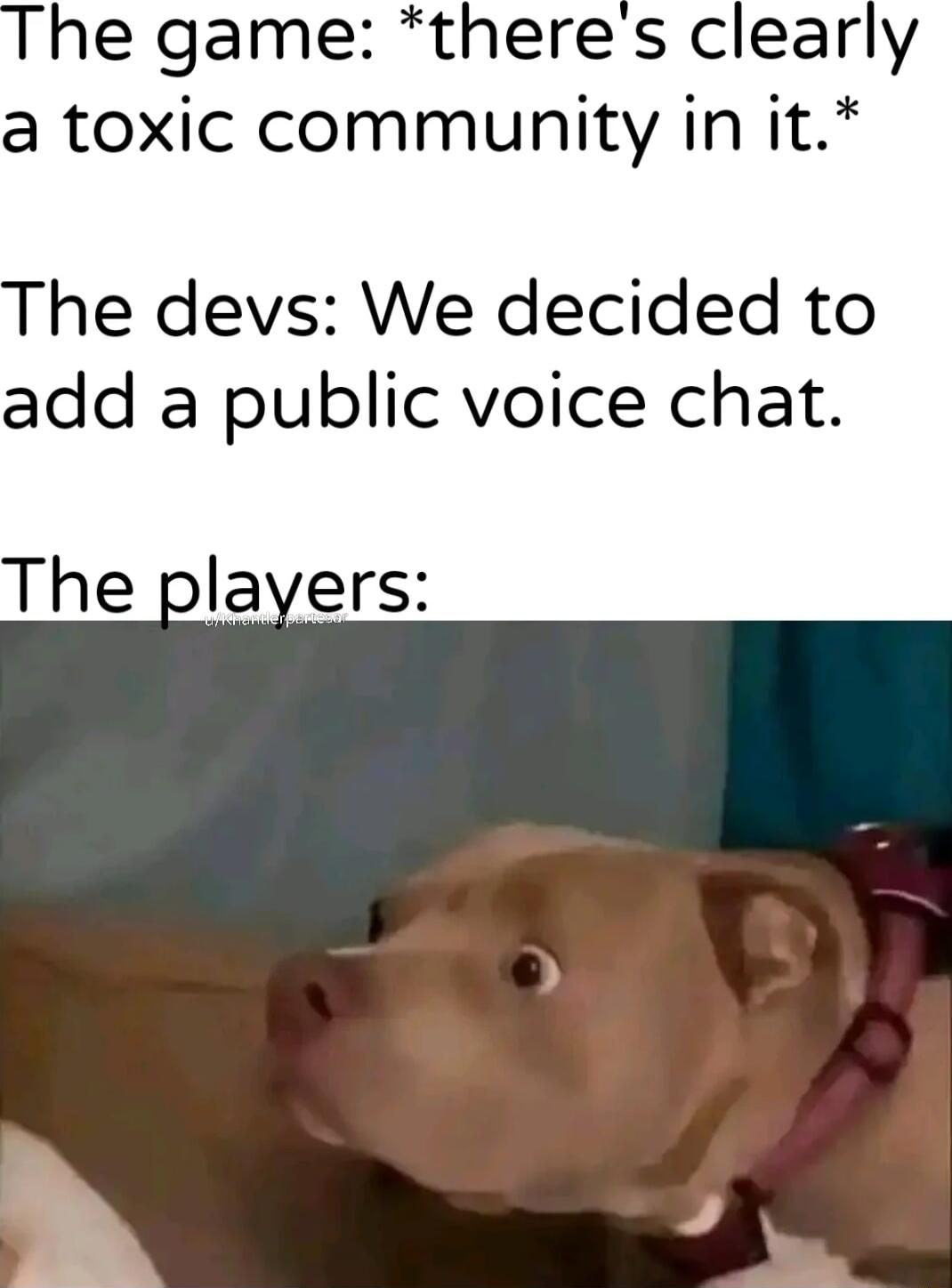 he game theres clearly a toxic community in it he devs We decided to add a public voice chat The players