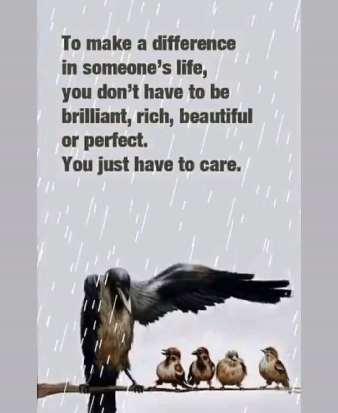To make a difference in someone's life, you don't have to be brilliant, rich, beautiful or perfect. You just have to care.