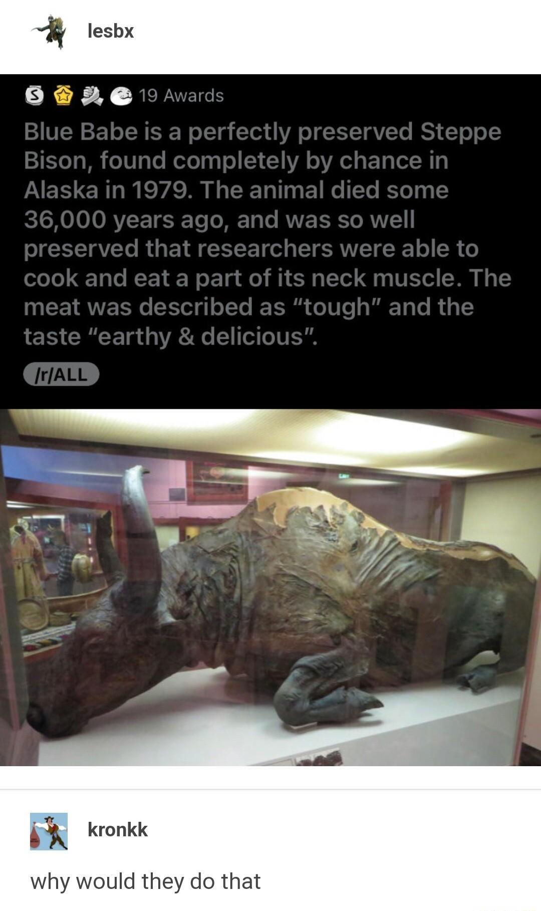 kronkk why would they do that