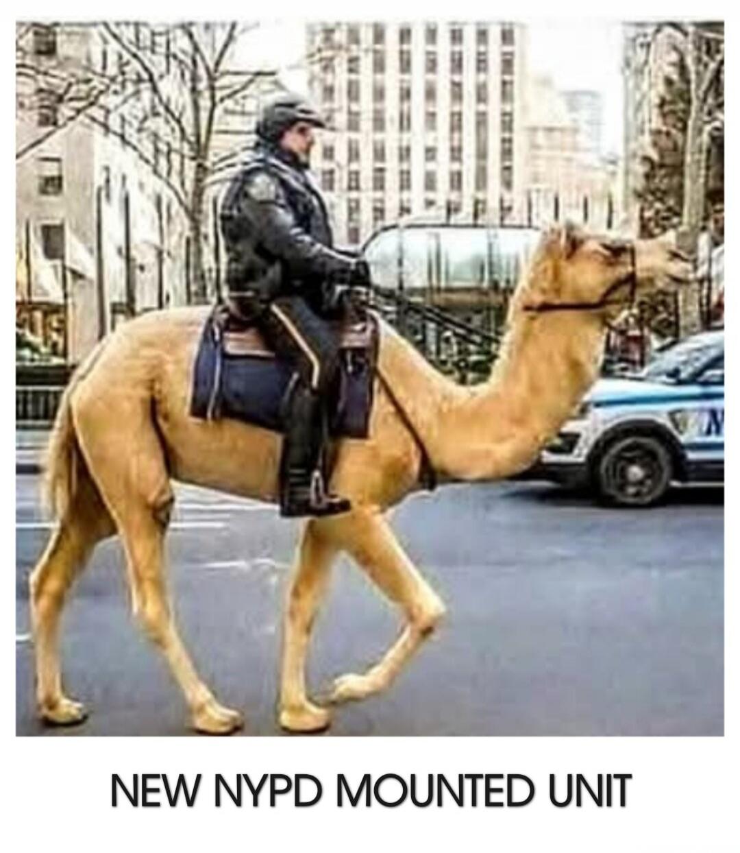 NEW NYPD MOUNTED UNIT