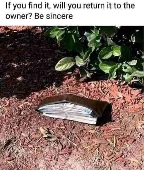 If you find it will you return it to the owner Be sincere