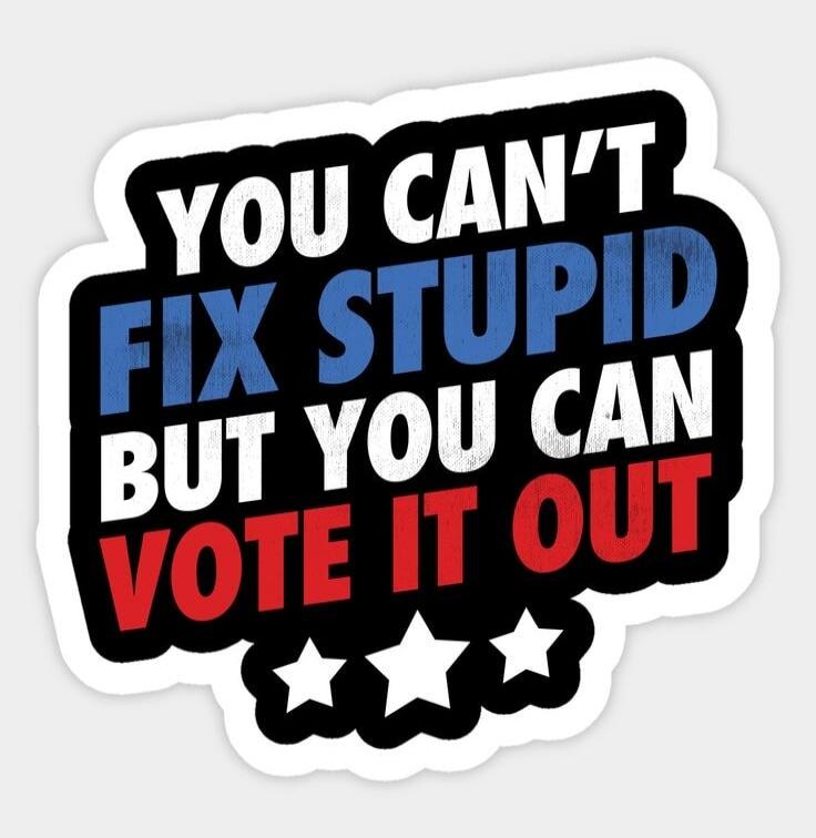 YOU CAN'T FIX STUPID BUT YOU CAN VOTE IT OUT