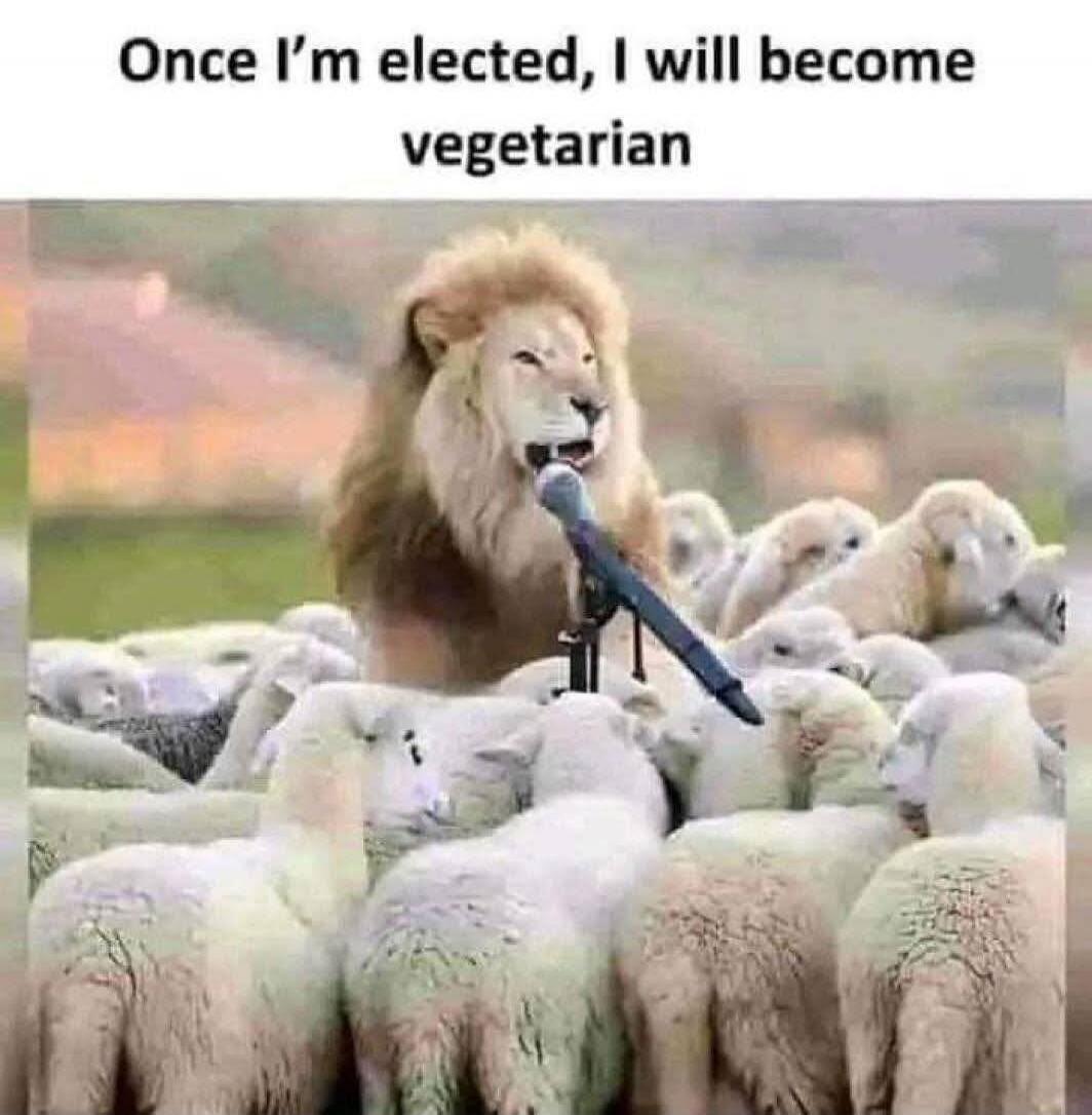 Once I'm elected, I will become vegetarian