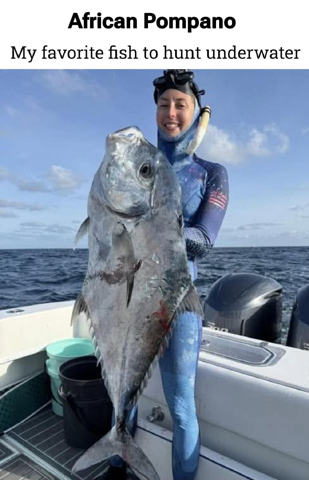 African Pompano
My favorite fish to hunt underwater