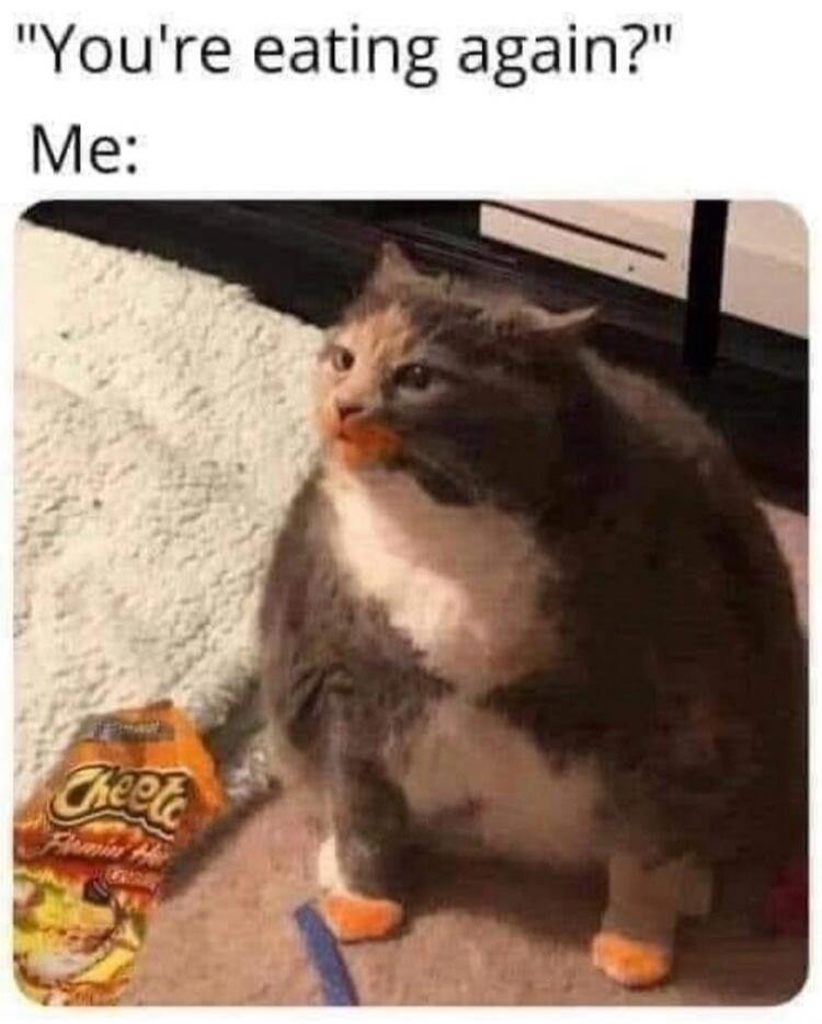 You're eating again? Me: