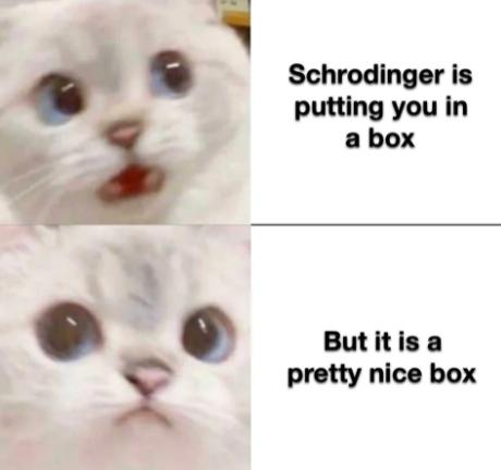 Schrodinger is putting you in abox Butitisa pretty nice box