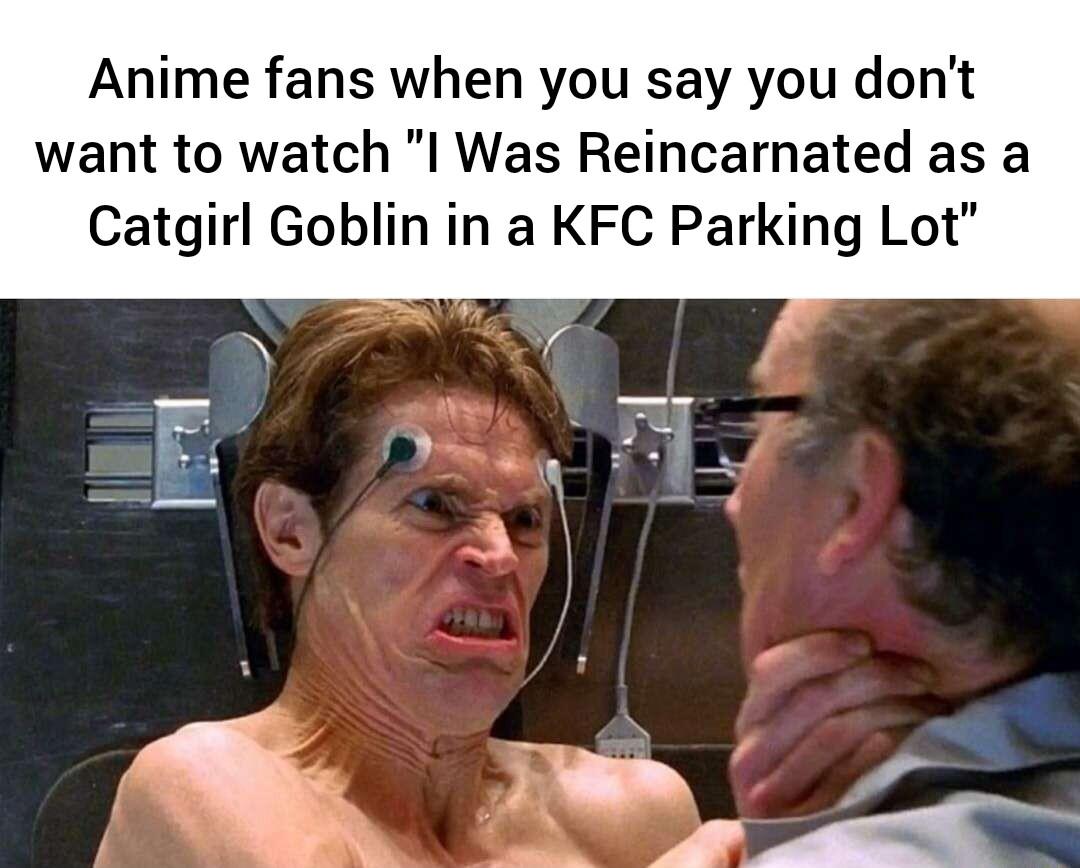 Anime fans when you say you dont want to watch I Was Reincarnated as a Catgirl Goblin in a KFC Parking Lot
