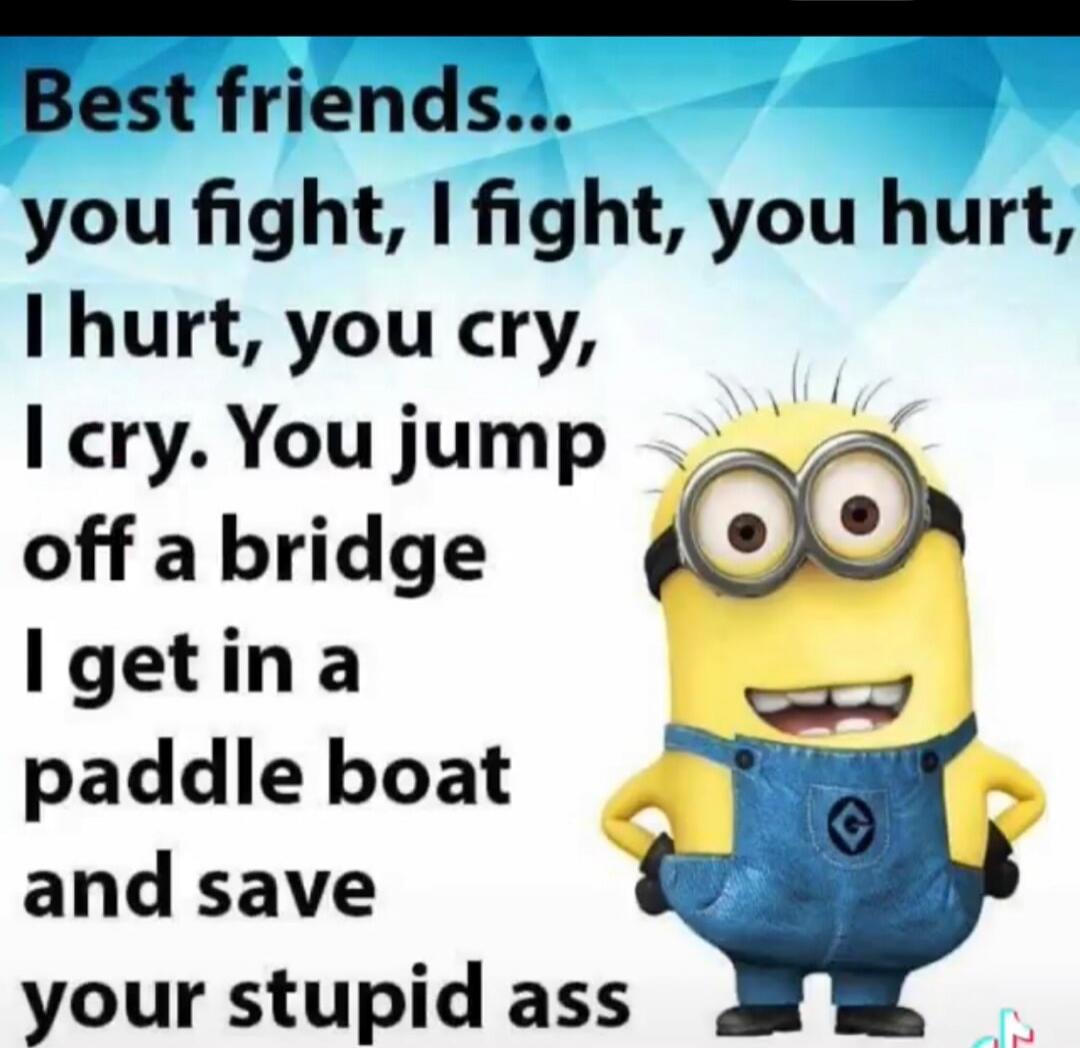 Best friends... you fight, I fight, you hurt, I hurt, you cry, I cry. You jump off a bridge I get in a paddle boat and save your stupid ass