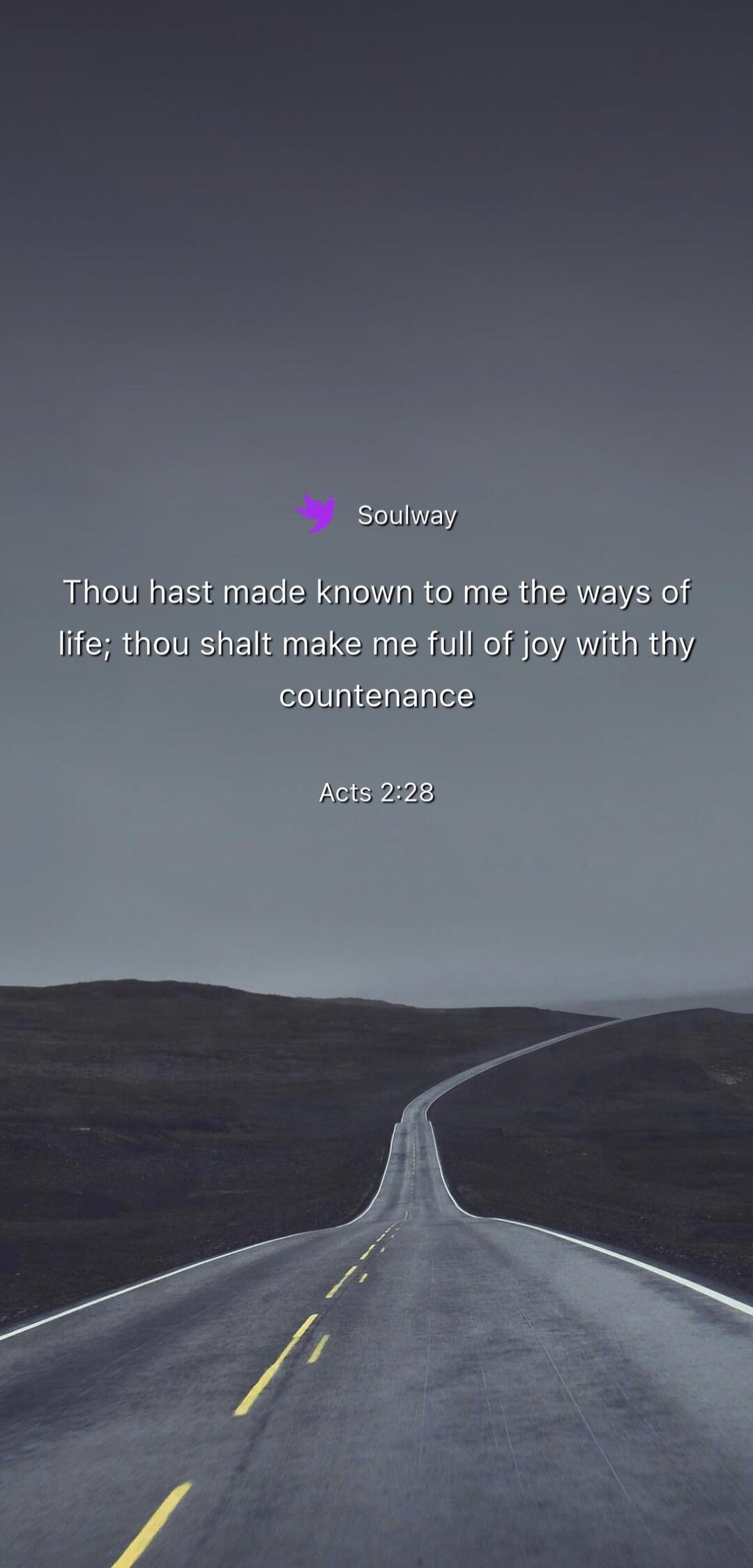 Soulway Thou hast made known to me the ways of life; thou shalt make me full of joy with thy countenance Acts 2:28