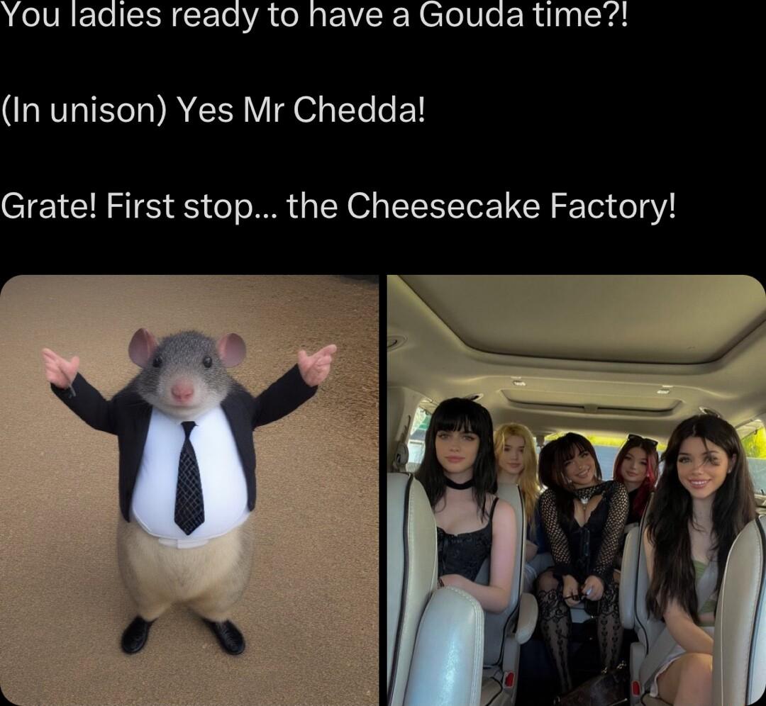 In unison Yes Mr Chedda Grate First stop the Cheesecake Factory