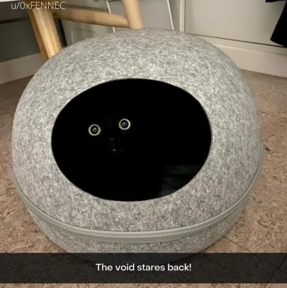 The void stares back