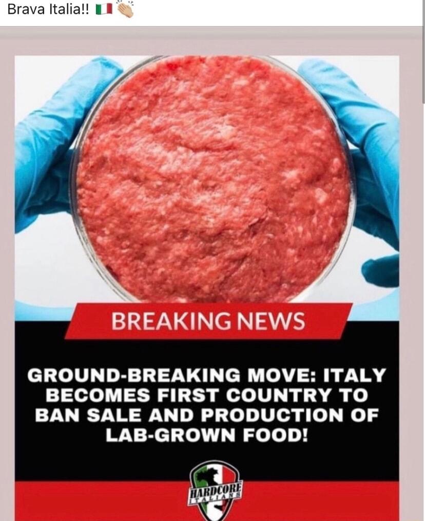 Brava Italia 18 GROUND BREAKING MOVE ITALY BECOMES FIRST COUNTRY TO BAN SALE AND PRODUCTION OF LAB GROWN FOOD