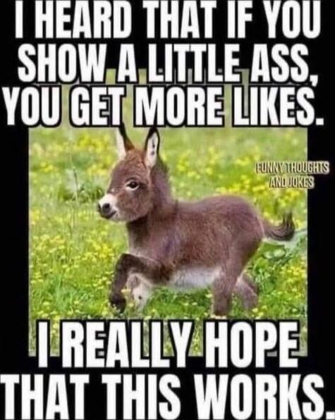 I HEARD THAT IF YOU SHOW A LITTLE ASS, YOU GET MORE LIKES. I REALLY HOPE THAT THIS WORKS.