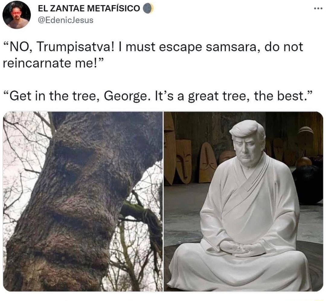 NTAE METAFISICO niclesus NO Trumpisatva must escape samsara do not reincarnate me Get in the tree George Its a great tree the best