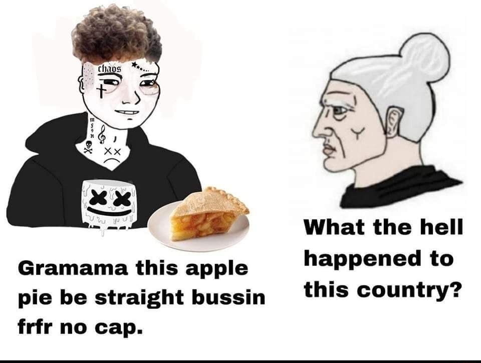 Gramama this apple pie be straight bussin frfr no cap What the hell happened to this country