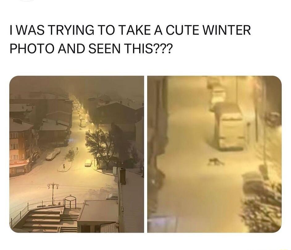IWAS TRYING TO TAKE A CUTE WINTER PHOTO AND SEEN THIS