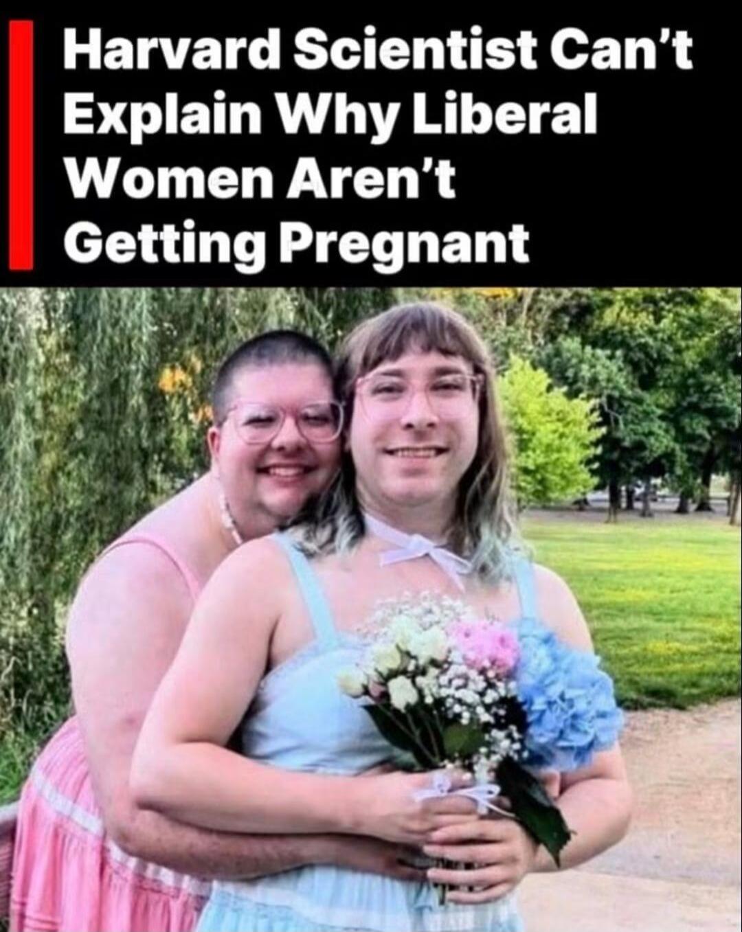 Harvard Scientist Can't Explain Why Liberal Women Aren't Getting Pregnant